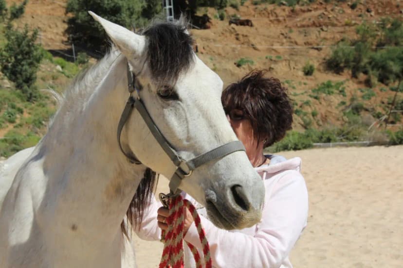 Paciente con Caballo