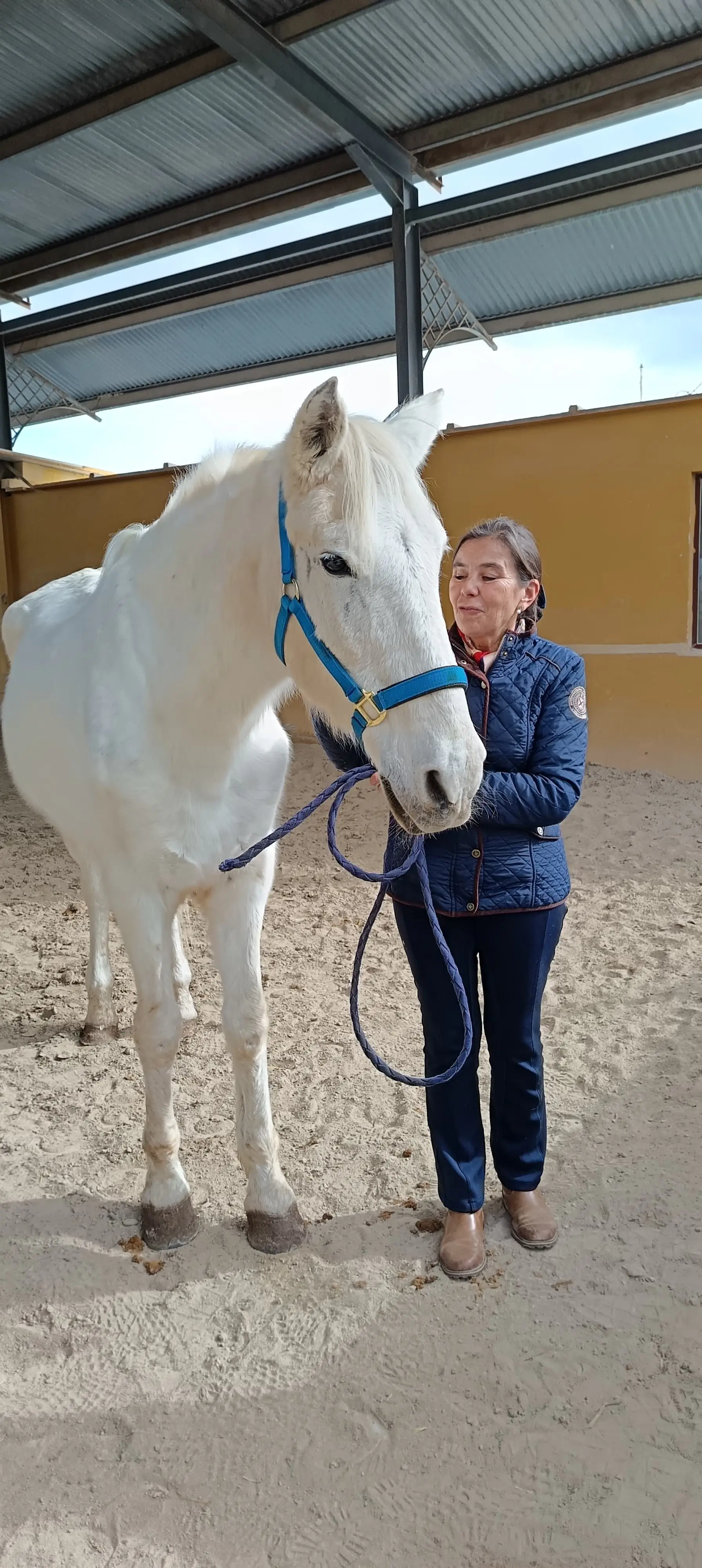 Coaching con Caballos