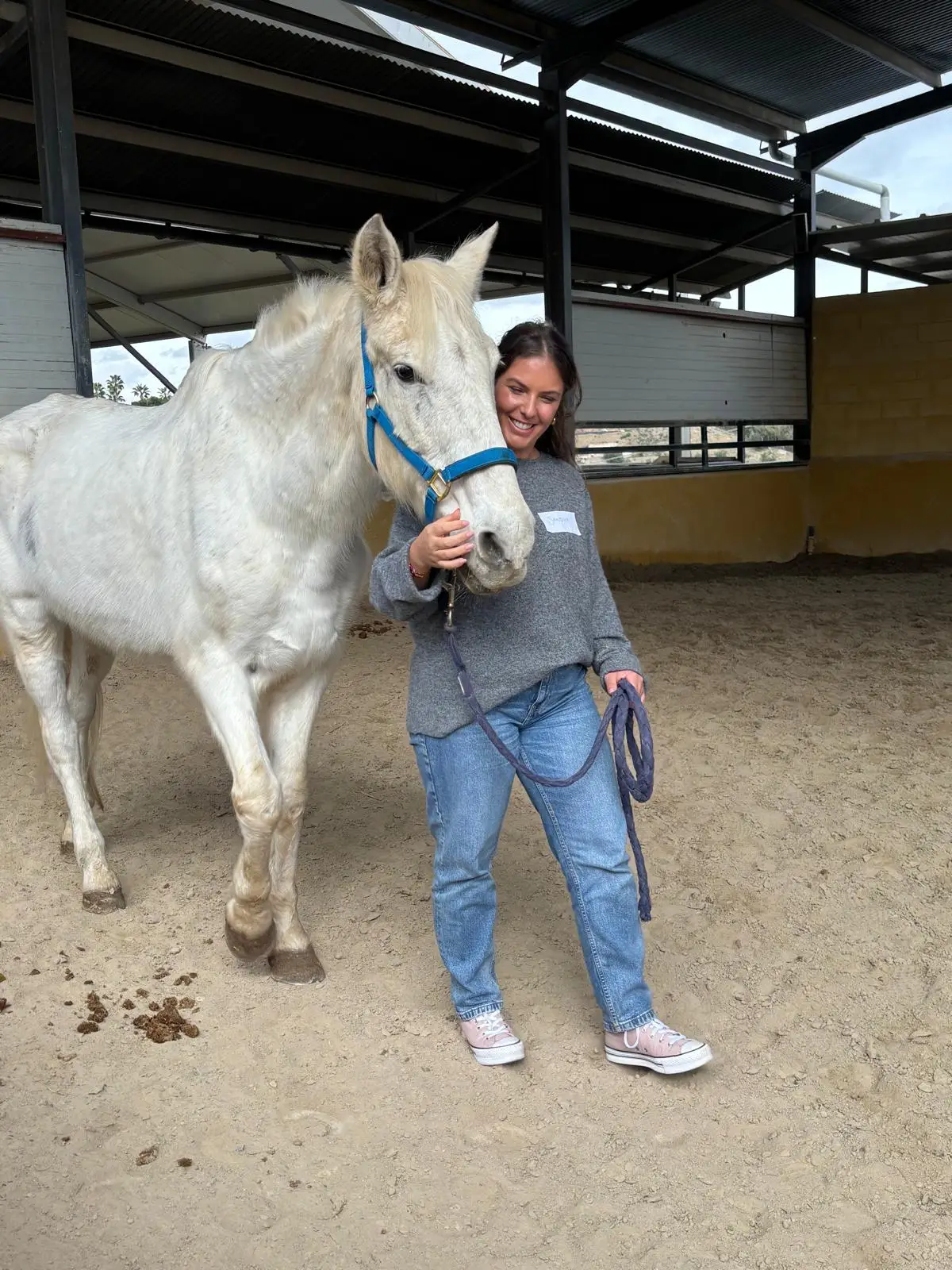 Coaching con Caballos
