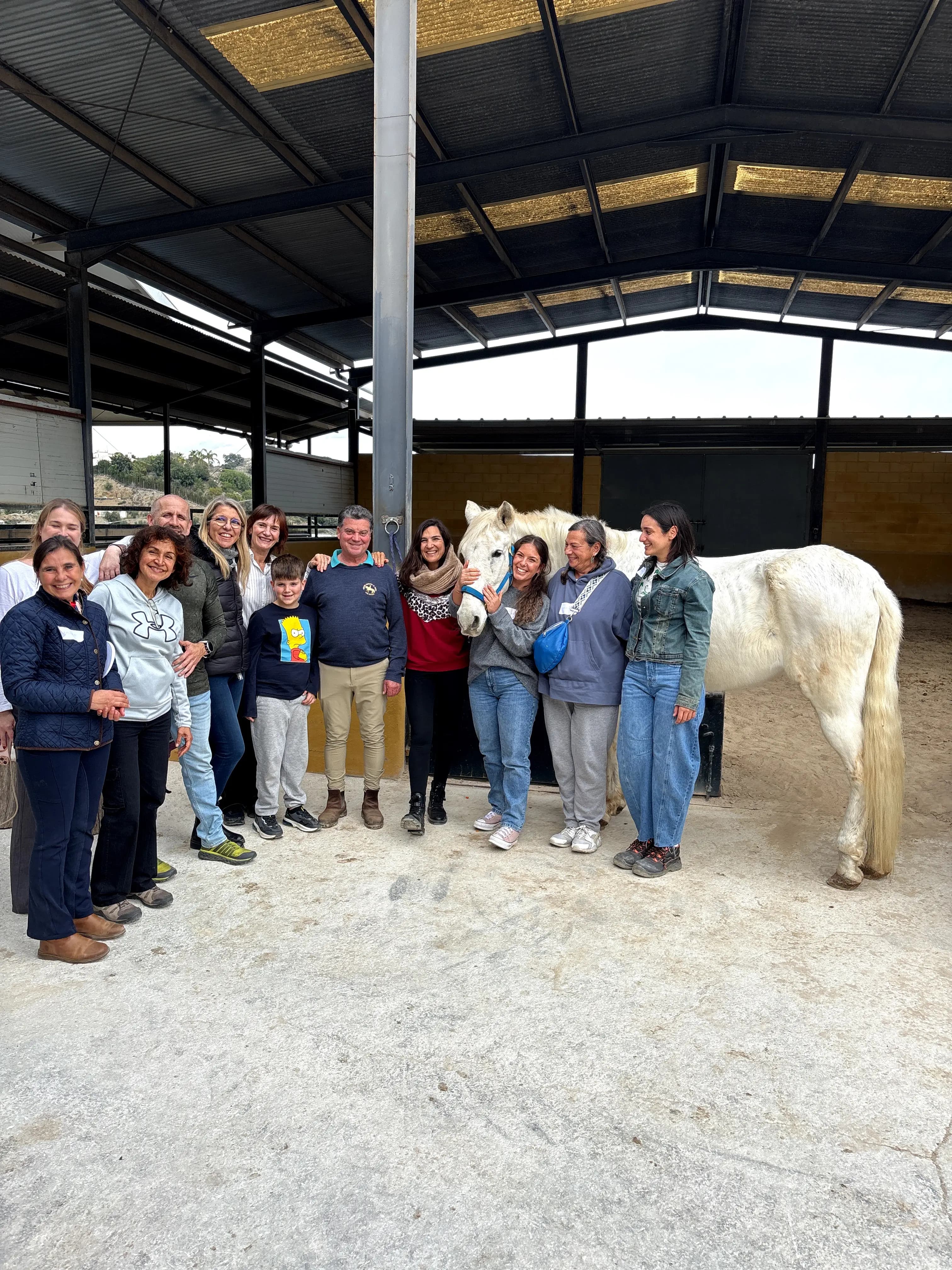 Taller de Coaching con Caballos