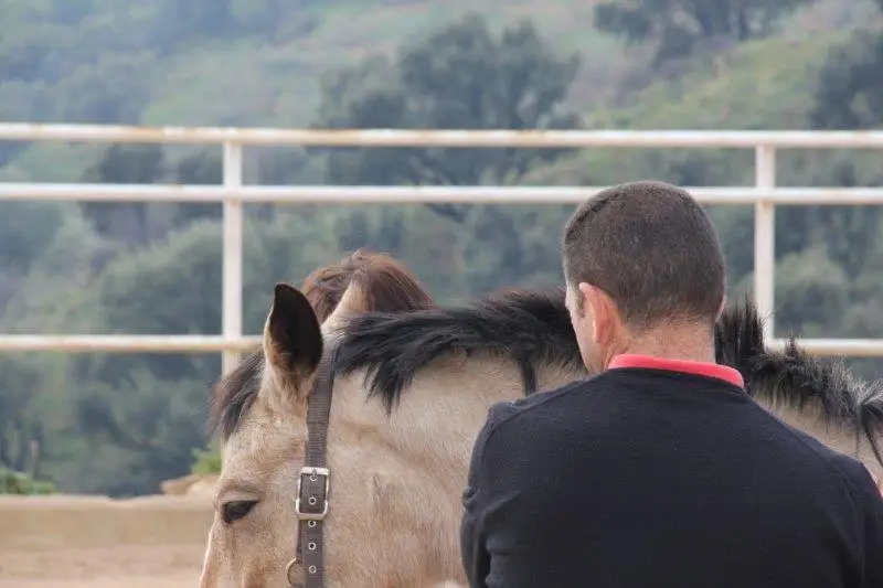 Paciente con Caballo