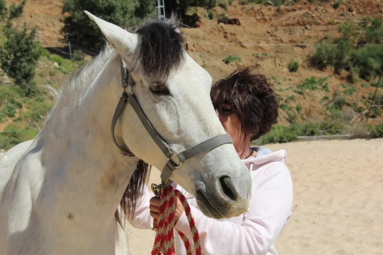 Paciente con Caballo